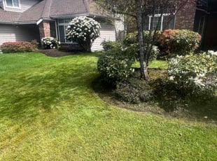 Gale C.'s Lawn Mowing service result
