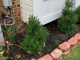 Weeding by Tyler Isaacs for Sharron K. in Glenarden, MD