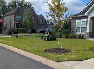 Frank N.'s Grass Cutting service result
