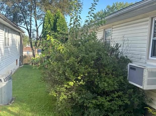 Shanna A.'s Bush Trimming service result