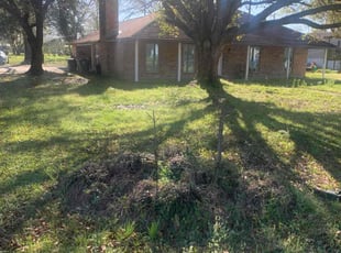 Bush Trimming by Orangie Button for Moe B. in Zachary, LA