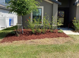 Mulching by Antwon Lee for Lawrence C. in Ruskin, FL