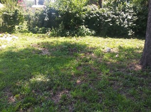 Cleanups by Karlie Young for Brian B. in Oklahoma City, OK