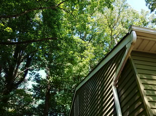 Landscaping by Chris Thomas for Tacuma N. in Richmond, VA