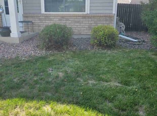Bush Trimming by Brennen Spratte for Margaret F. in Colorado Springs, CO