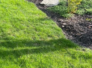 Weeding by Rick Smith for Lekeshia L. in Strongsville, OH