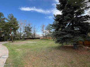 Bush Trimming by GREEN KEEE LLC for Isaac Q. in Lakewood, CO
