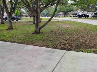 Leaf Removal by Francisco A Monrroy Velasquez for James H. in Seguin, TX