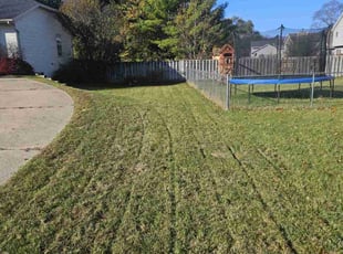 Debra B.'s Lawn Care service result