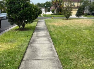 Bush Trimming by Jared McGee for Brianna B. in Zephyrhills, FL