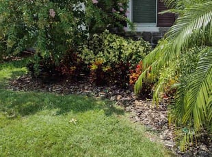 Landscaping by Ricardo Espinoza for Raikesson C. in Winter Haven, FL