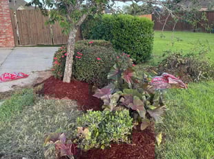Cleanups by Melinda Smith for Andrea A. in Zachary, LA