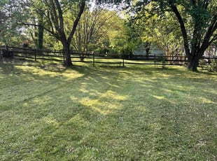Steve D.'s Lawn Mowing service result