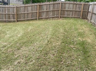 Leaf Removal by Deanthony Streeter for Denoshia . in Southaven, MS