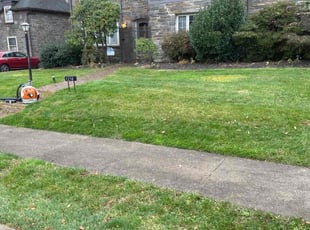 Leaf Removal by Michael Scime for Cathy F. in Drexel Hill, PA