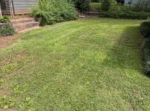 Leaf Removal by Erica Smedley for LIndsay W. in Charlotte, NC