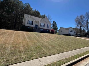 Stephanie S.'s Yard Cutting service result