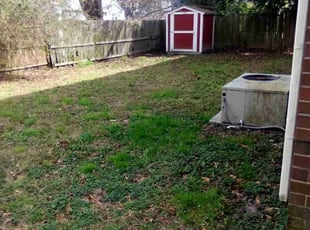 Leaf Removal by Willie Williams for Oshane X. in Norfolk, VA