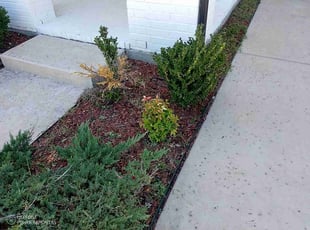 April A.'s Flower Bed Weeding service result