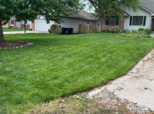Steven A.'s Lawn Mowing service result