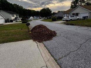 Cleanups by Naji Robinson for Prescilla S. in Fountain Inn, SC