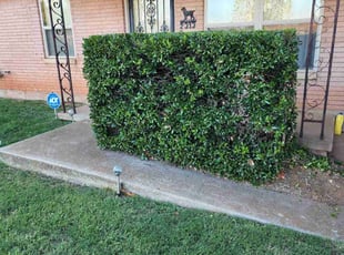 Bush Trimming by Edwin Herrera for Russell B. in Del City, OK