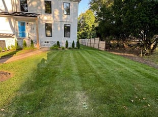 Vincent C.'s Lawn Mowing Service service result