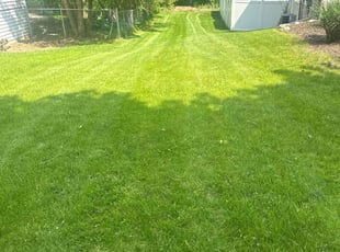 Raymond J.'s Lawn Maintenance service result