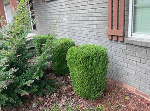 Bush Trimming by Devoris Lockhart for Terri S. in Benton, AR