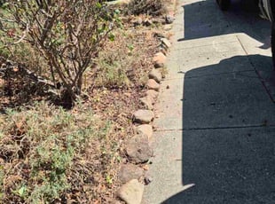 Richard T.'s Bush Trimming service result