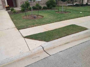 Shae C.'s Lawn Mowing service result