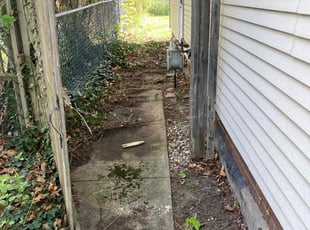 Leaf Removal by James Serio for Adam S. in Rochester, NY