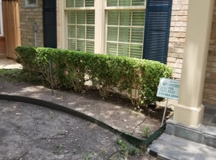 Bush Trimming by Marco Rico for David D. in Dallas, TX