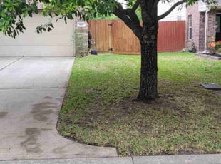 Leaf Removal by Linda Jones for Michael C. in Conroe, TX