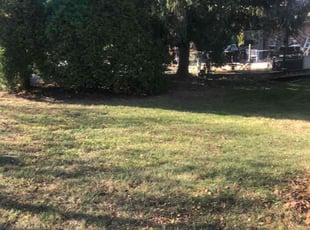 Leaf Removal by Arturo Estrada Garcia for Duane D. in Frankfort, IL