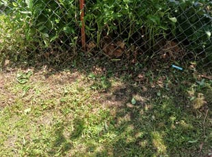 Cleanups by Juan Palmer for Josiah K. in Sapulpa, OK