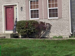 Bush Trimming by Nicholas Sarcletti for Maurice K. in Plainfield, IL