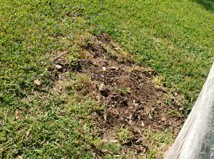 Cleanups by Stephen Morales for Katrina A. in Houston, TX
