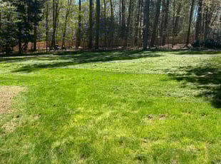 Jean S.'s Yard Cutting service result