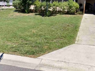 Miquita H.'s Lawn Maintenance service result