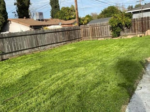 Sam G.'s Lawn Care service result