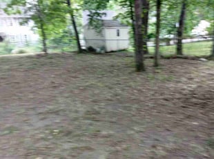Leaf Removal by Peter Dean for Colton B. in Durham, NC