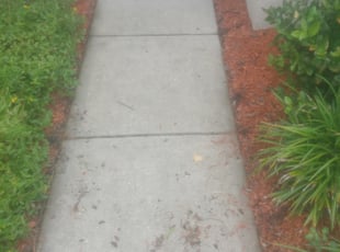 Weeding by Eli Marshall for Charde H. in Davenport, FL