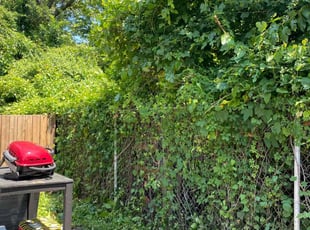 Cleanups by Angel P. for Rowaida J. in Arlington, VA