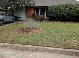 Bush Trimming by Lawrence Loven for Marilyn B. in Norman, OK