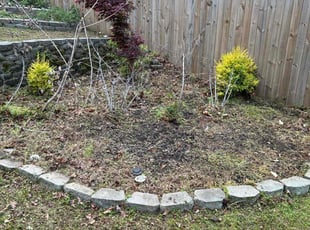 Weeding by Gerald Cousar for Shannon N. in Fort Mill, SC