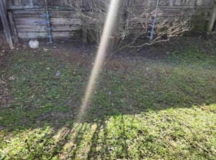 Cleanups by Manuel Solis Soto for Amanda H. in Dallas, TX