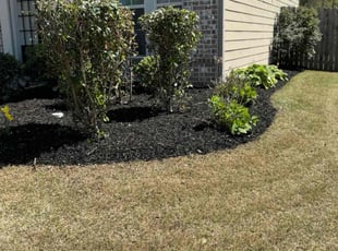 Mulching by Guillermo Domenech for Cecil B. in Cumming, GA