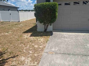 Bush Trimming by Jose Medina for Lonnie D. in Kissimmee, FL