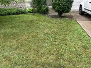 Weeding by Luis Contreras for Jeffrey C. in McCordsville, IN
